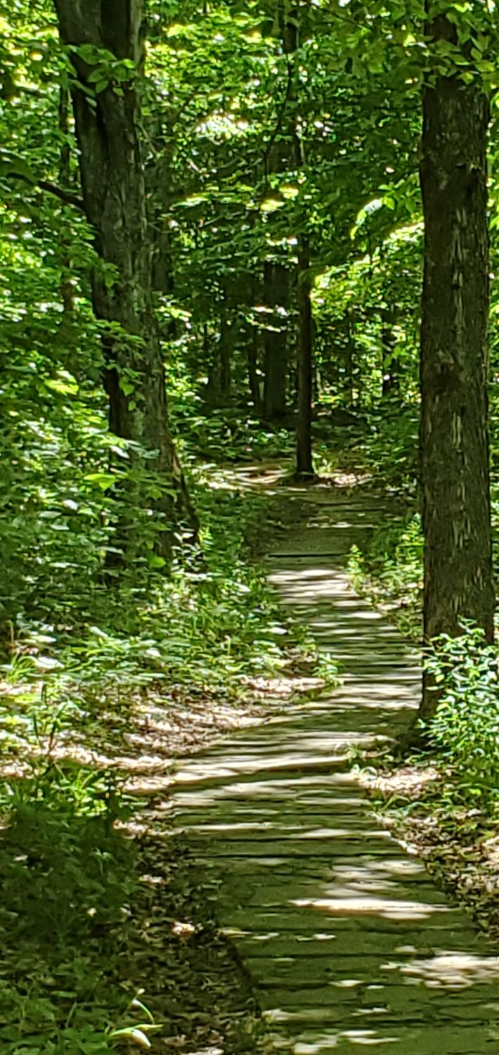 Rim Rock Rec Area - Rim Rock Rec Trail 